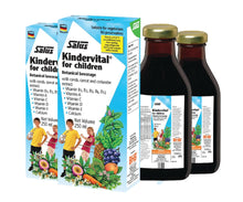 Load image into Gallery viewer, Salus Kindervital 250ML