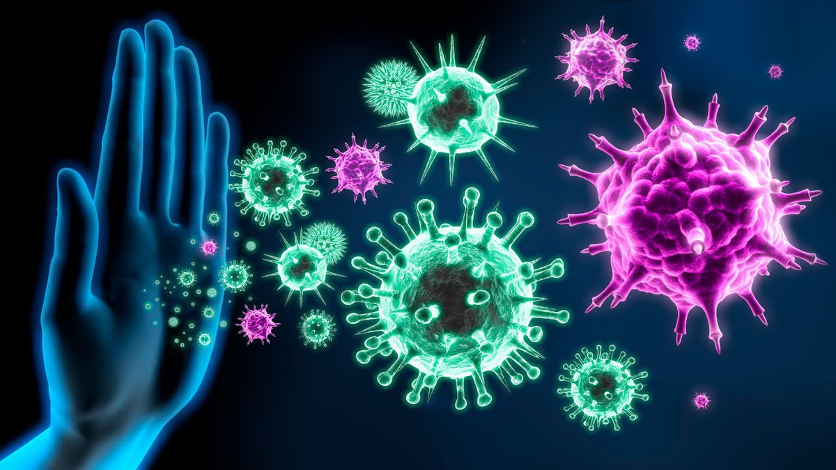 3 Immunity Levels – dynajoyonline.shop