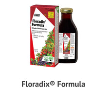 将图片加载到图库查看器，Salus Floradix Formula 2X500ML
